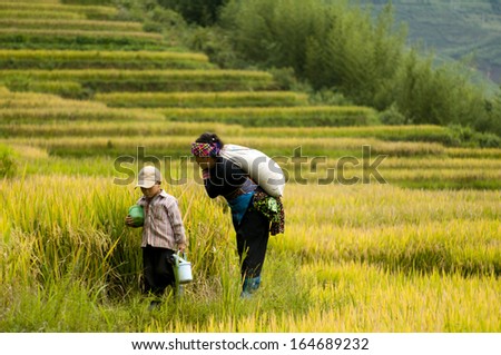 LAOCAI, VIETNAM, SEPTEMBER 15: Hanhi ethnic minority woman with her son, Xin, 5, bring rice to home on September 15, 2012 in Laocai, Vietnam. Hanhi is a popular ethnic group in Laocai.