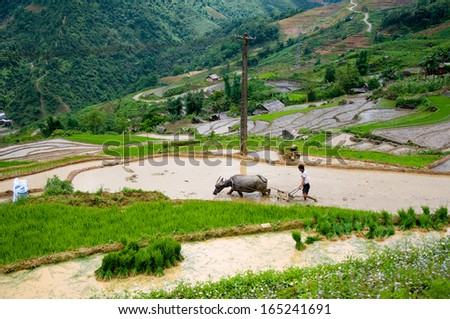LAOCAI, VIETNAM - MAY 26: Two unidentified farmers work in a terraced rice field on May 26, 2013 in Laocai, Vietnam. Farmer start working for a new rice season in May and harvest in September.
