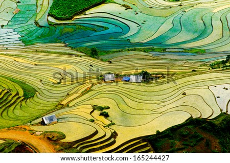 Beautiful terraced rice field in water season in Laocai province in Vietnam