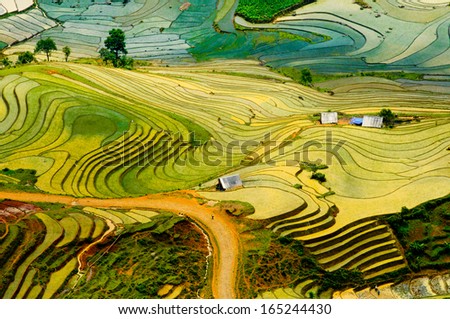 Beautiful terraced rice field in water season in Laocai province in Vietnam