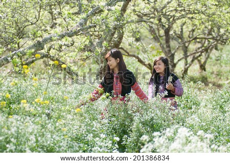 MOCCHAU, VIETNAM, FEBRUARY 14: Two H\'Mong ethnic girls in a flower garden on February 14, 2014 in Mocchau, Vietnam. H\'mong is the 8th largest ethnic group in Vietnam.