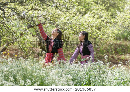 MOCCHAU, VIETNAM, FEBRUARY 14: Two H\'Mong ethnic girls in a flower garden on February 14, 2014 in Mocchau, Vietnam. H\'mong is the 8th largest ethnic group in Vietnam.