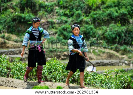 MUCANGCHAI, VIETNAM, JUNE 10: Unidentified H\'mong ethnic minority farmers work in terraced rice field on June 10, 2014 in Mucangchai, Vietnam. H\'mong is the 8th largest ethnic group in Vietnam.
