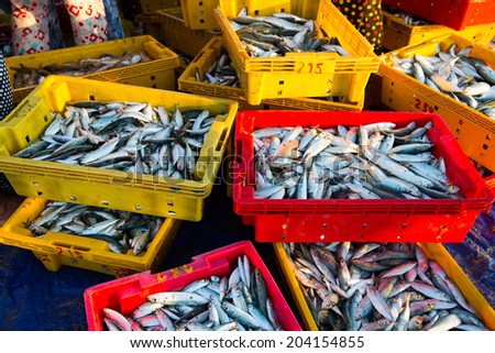 Trays of raw fishes are sell in fish market in Binhthuan, Vietnam