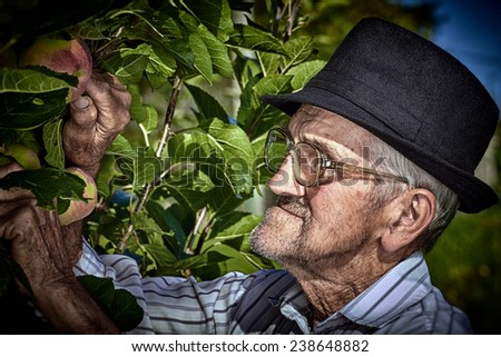 Wrinkled and expressive old farmer checking the fruits of his labor.