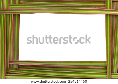 Nature Frame of Dracaena Marginata Tricolor Leaves known as \'rainbow tree\', with clipping path