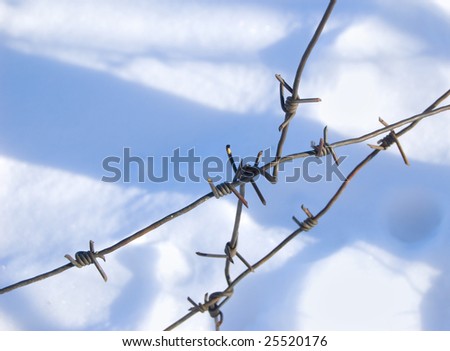 old barbed wire against snow background