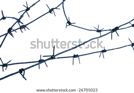 old barbed wire on white background. Isolation