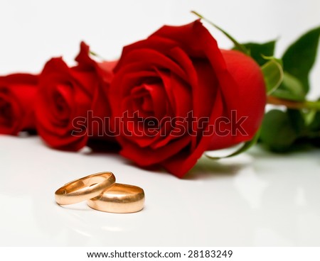 red and white roses background. and red roses on white