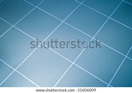 Blue Tile Floor