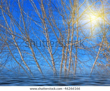 Trees in water. Spring background. Collage