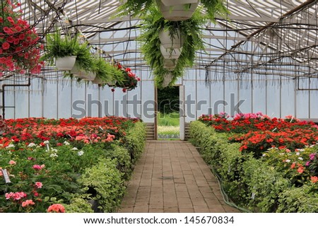Nursery greenhouse filled with many colorful varieties of flowers and plants ready for any gardener\'s dream landscape.