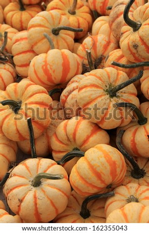 Colorful Carnival squash at the local farmers market is one variety of many delicious winter squash for shoppers to choose from.