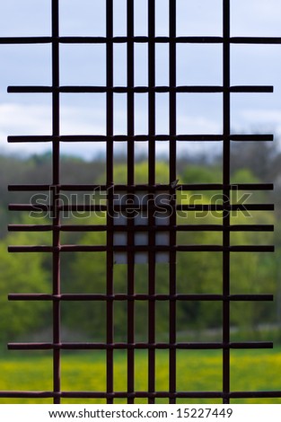 window iron bars