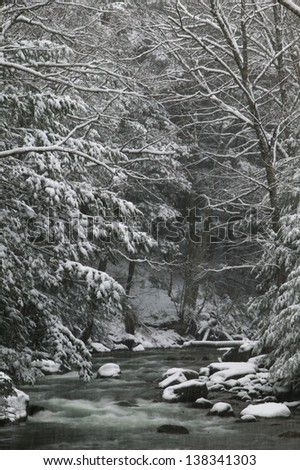River running through snow covered trees, Stowe, Vermont, USA