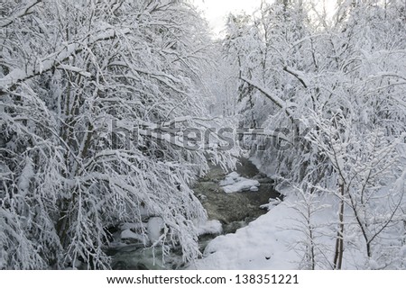 Snow covered trees over Goldbrook Stream in the middle of winter, Stowe, Vermont, USA