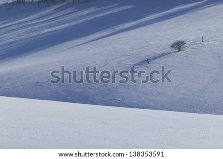 Tranquil scene of a few trees in an open field covered in snow, Stowe, Vermont, USA