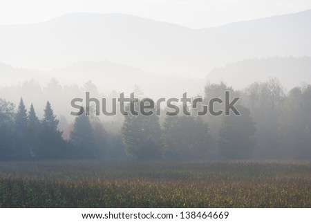 Tree covered foggy mountain range over a corn field, Stowe, Vermont, USA