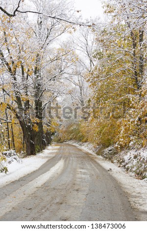Snow covered tree canopy over a dirt road during fall foliage season, Stowe, Vermont, USA