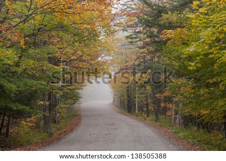 Empty gravel country road during the fall foliage season, Stowe, Vermont, USA