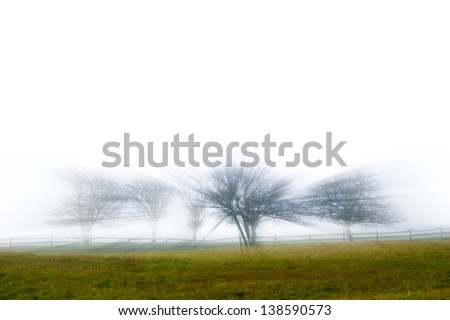 Digitally enhanced silhouetteted row of trees on a foggy morning, Stowe, Vermont, USA