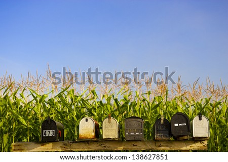Row of mail boxes with a corn field in the background, Stowe Vermont, USA