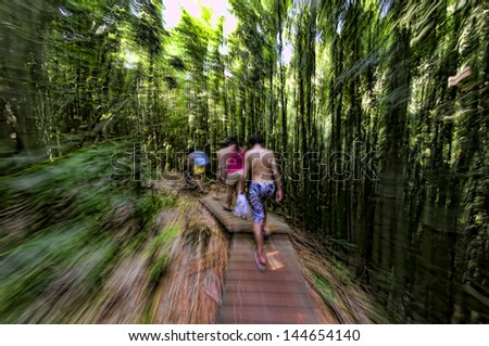 A family walking along a wooden path through a dense bamboo forest on The Road to Hana, Maui, Hawaii, USA