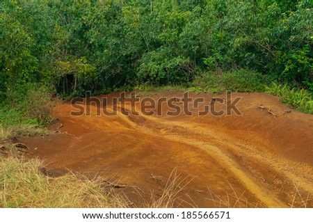 ATV tracks in the red dirt on the tropical island of Kauai, Hawaii, USA