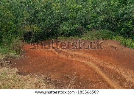 ATV tracks in the red dirt on the tropical island of Kauai, Hawaii, USA