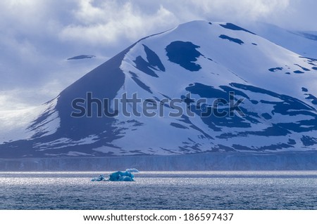 Icebergs floating in a fjord in the Arctic Ocean, Hornsund, Norway