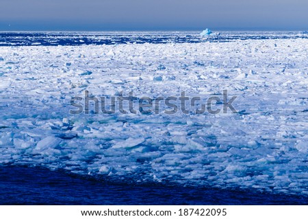 Ice floats in the Arctic Circle near Barentsoya, Svalbard, Norway.
