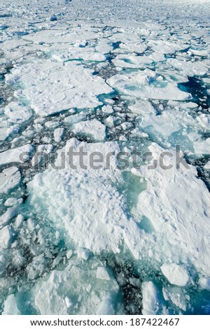 Ice floats in the Arctic Circle near Barentsoya, Svalbard, Norway.