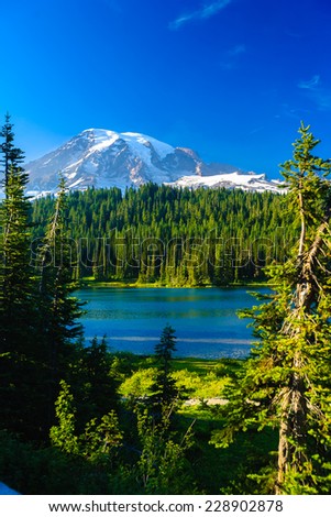 Overlooking a lake and a forest of pine trees with Mt. Rainier looming in the distance, Mt. Rainier National Park, Washington, USA.