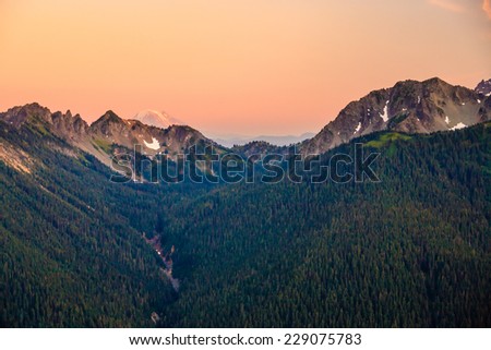 Overlooking a pine tree covered valley with Mt. Rainier in the background, Mt. Rainier National Park, Washington, USA.