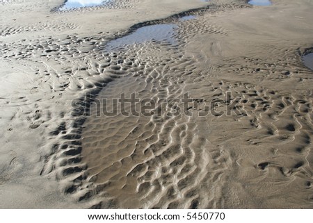 Natures Sand Art Cannon Beach, Oregon