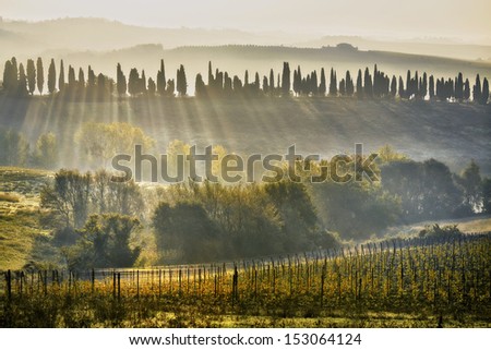 Chianti Wine Region Near Bibbiano, Tuscany, Italy