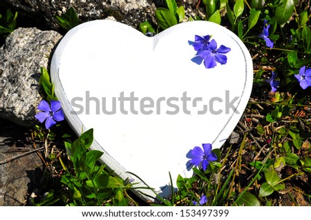 Heart meadow flowers love