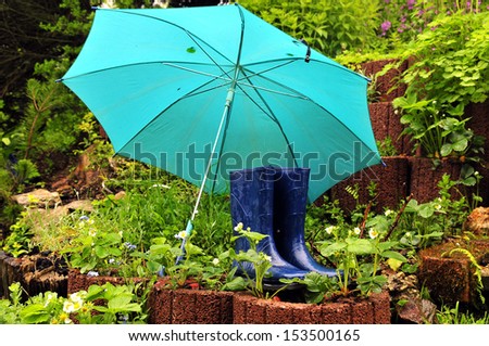 Rain garden wet weather