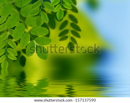 Leaves reflecting in water
