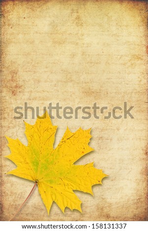 grunge background with maple autumn leave