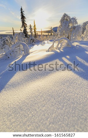 winter landscape, stubba nature reserve, laponian area, laponia, norrbotten, lapland, sweden