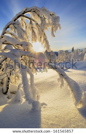 winter landscape, stubba nature reserve, laponian area, laponia, norrbotten, lapland, sweden