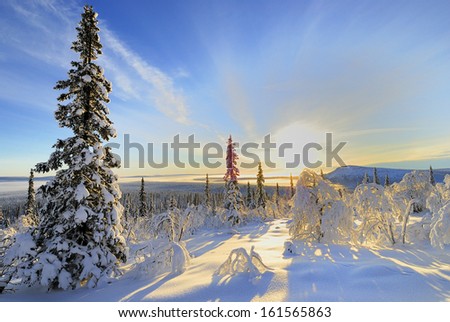 Winter Landscape, Stubba Nature Reserve, Laponian Area, Laponia, Norrbotten, Lapland, Sweden