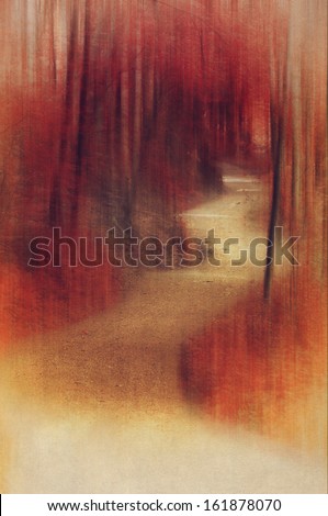 Indian Forest Path Background