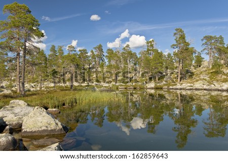 Reflections in  mountain lake, nature reserve, sweden