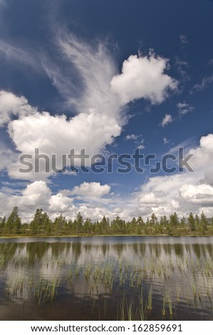 View at lakeland in Nature Reserve Rogen, Haerjedalen, Sweden, Summer day