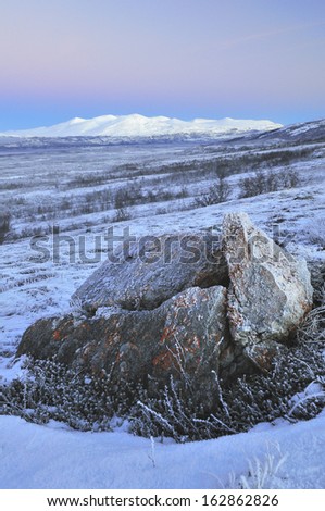Winter landscape at lake tornetraesk near abisko, lapland, sweden