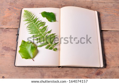 an old blank book with green leaves on a wooden board background