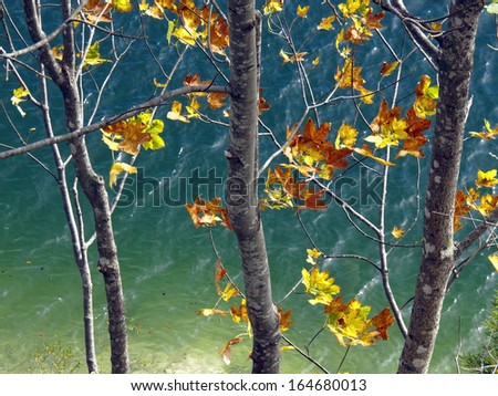 Yellow leaves against blue-green water