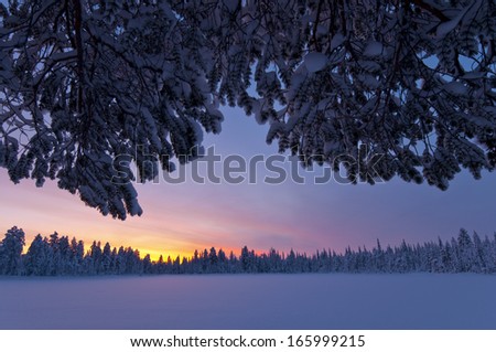 Evening Mood at a frozen lake, Koskivaara, Lapland, Sweden